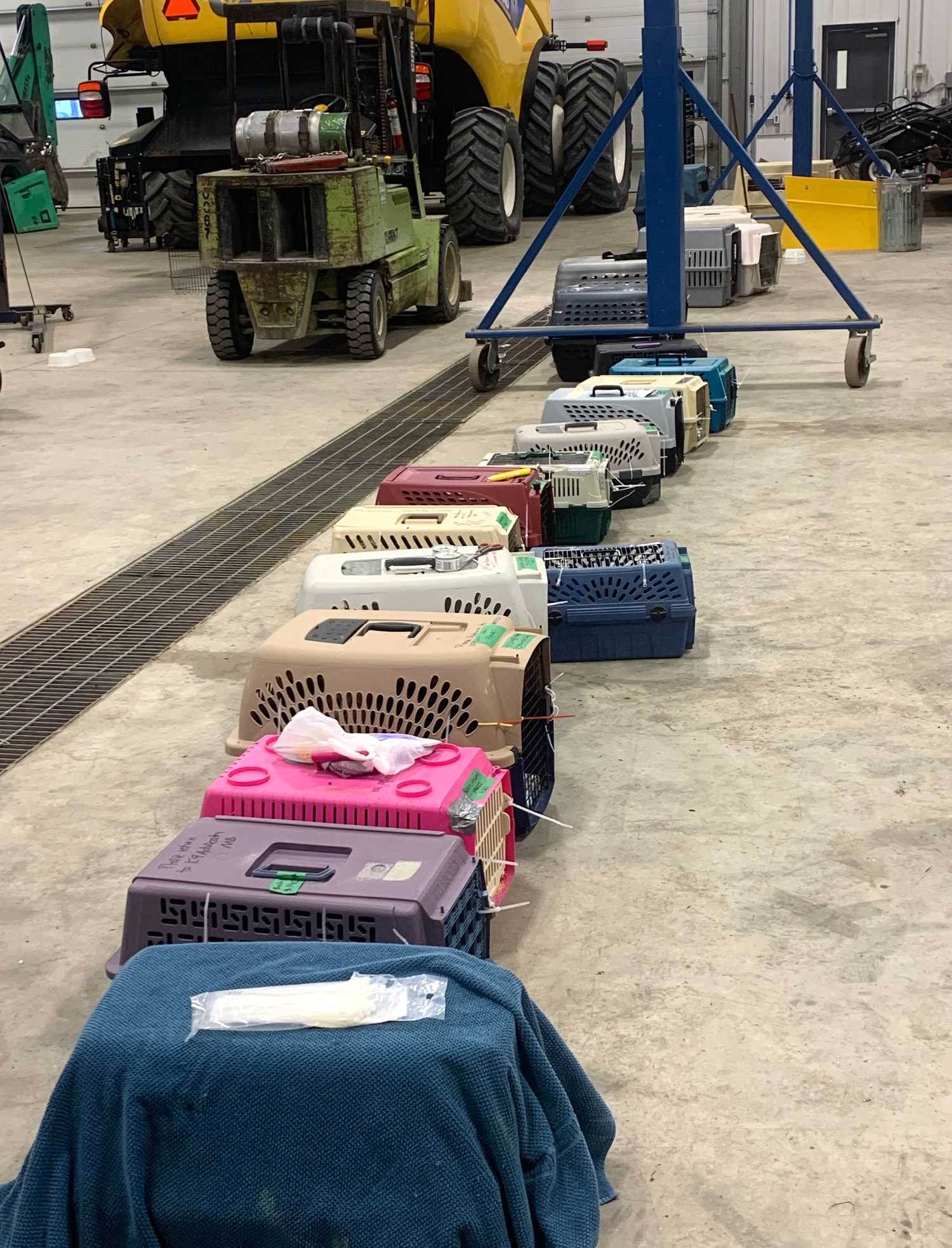 Pet carriers at Mazergroup Moosomin, where many dogs and cats were kept warm overnight after a van carrying the rescue animals was stranded by the highway closure.